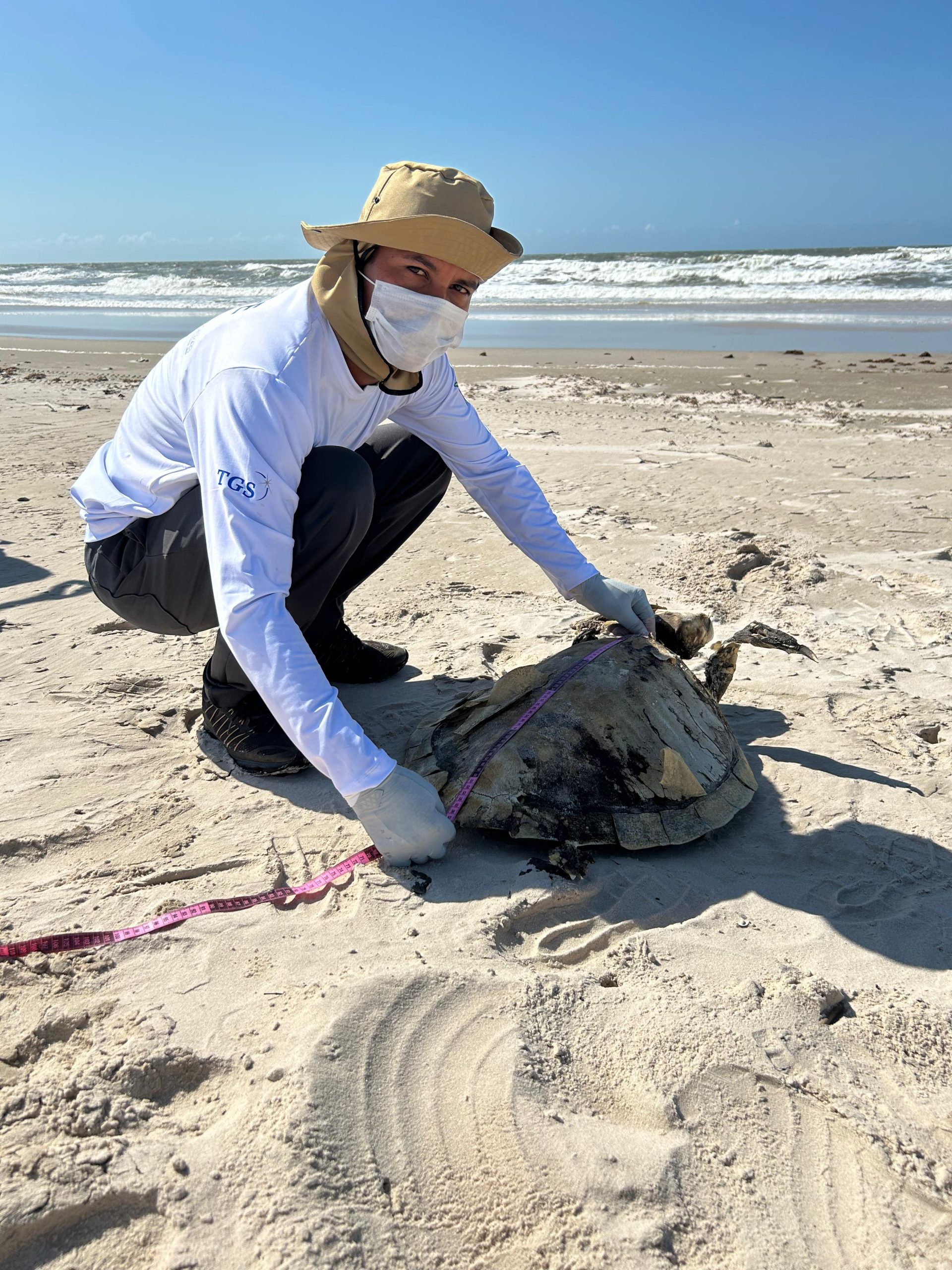 Queamar inicia monitoramento de praia em Barreirinhas