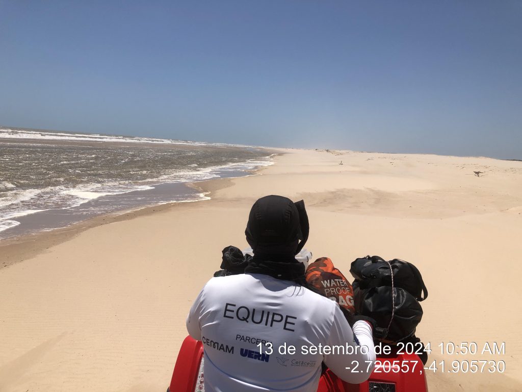 Instituto Tartarugas do Delta realiza monitoramento de praia no Piauí e no Maranhão