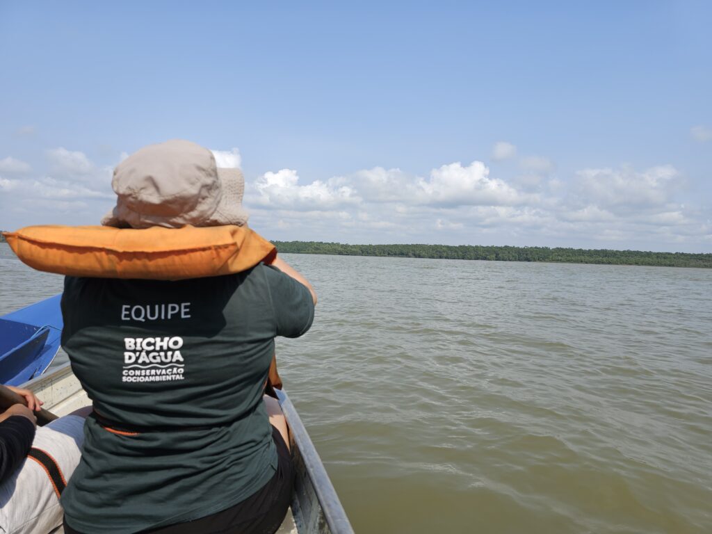 Instituto Bicho D'água tenta resgatar peixe-boi no rio Arari
