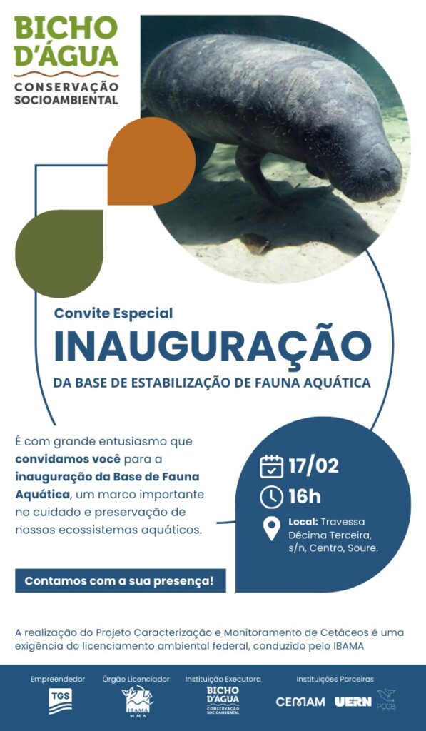 Instituto Bicho D'água inaugura, em fevereiro, Base de Estabilização para a Fauna Aquática em Soure, no Pará