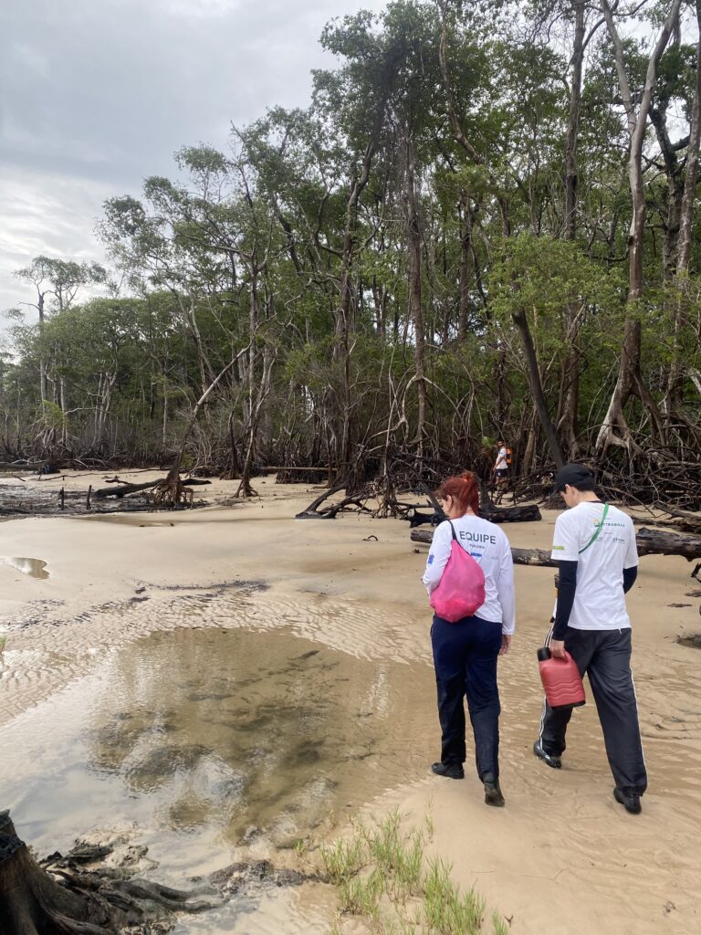 Instituto Bicho D'água realiza primeiro monitoramento periódico do ano, na Ilha de Marajó, no Pará