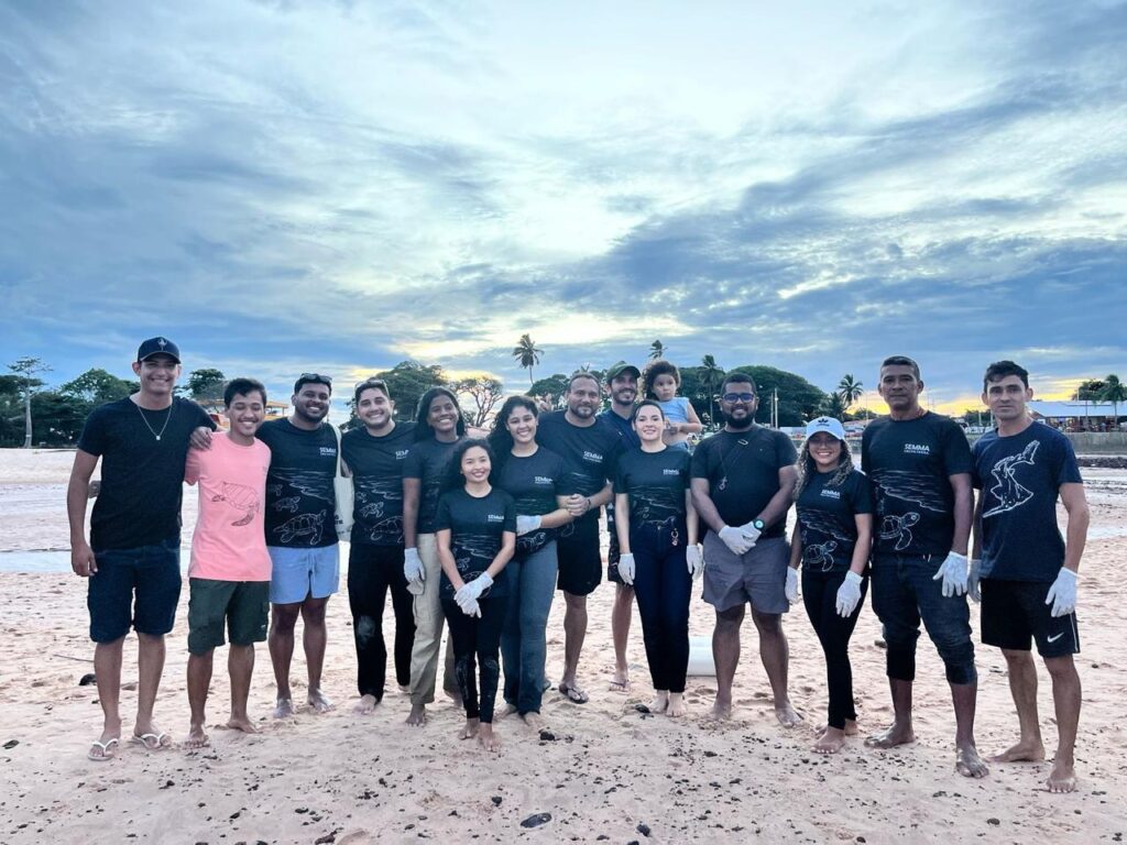 Instituto Bicho D'água acompanha nascimento de tartarugas marinhas