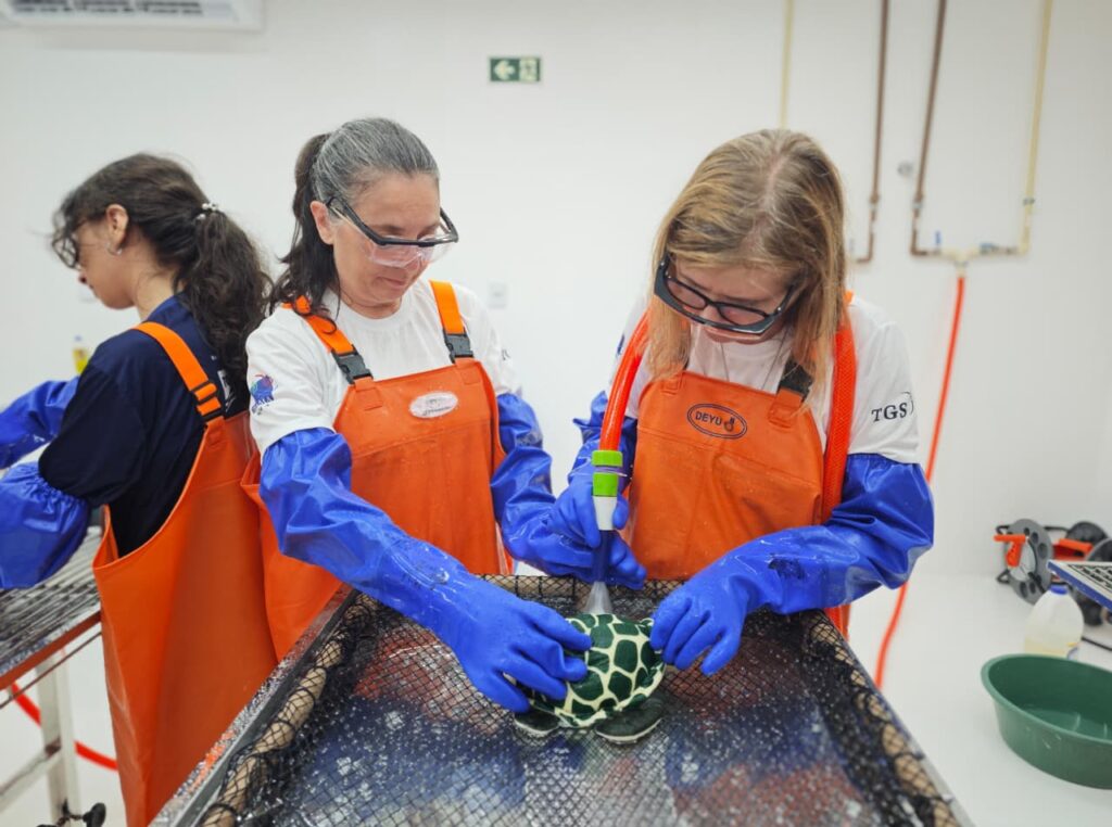 Iepa participa de treinamento sobre reabilitação de fauna oleada